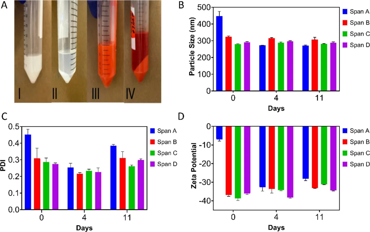 University of Mississippi tests 3D-printed cancer drug carriers in tumor treatment