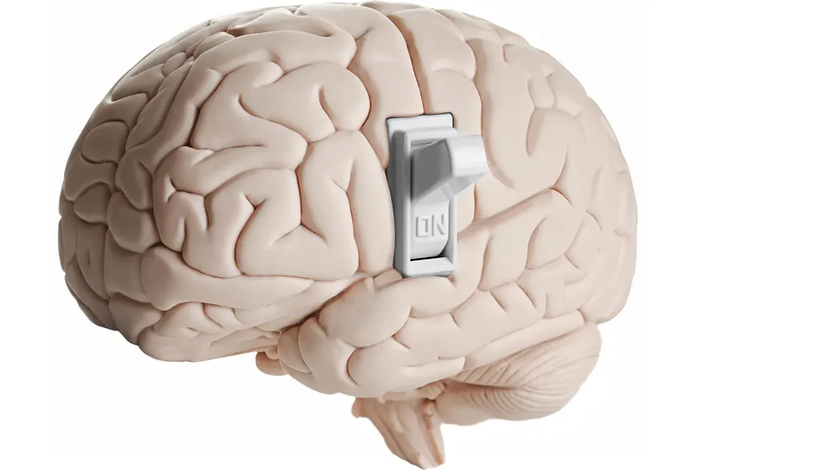 Researchers identify brain pathway controlling appetite amid obesity treatment hopes