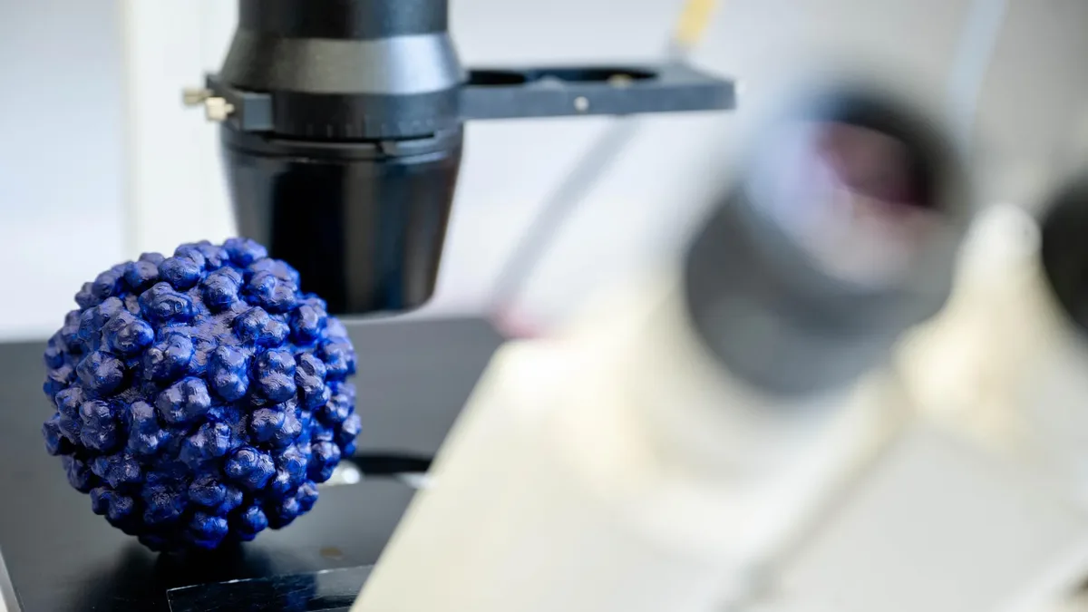 Scientists identify bemnifosbuvir as potential hepatitis E treatment