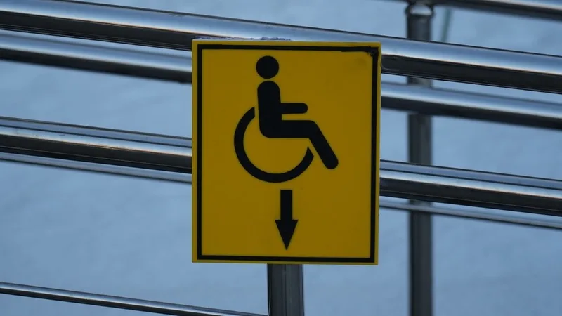 Kyrgyz MP proposes civil service quotas for disabled citizens