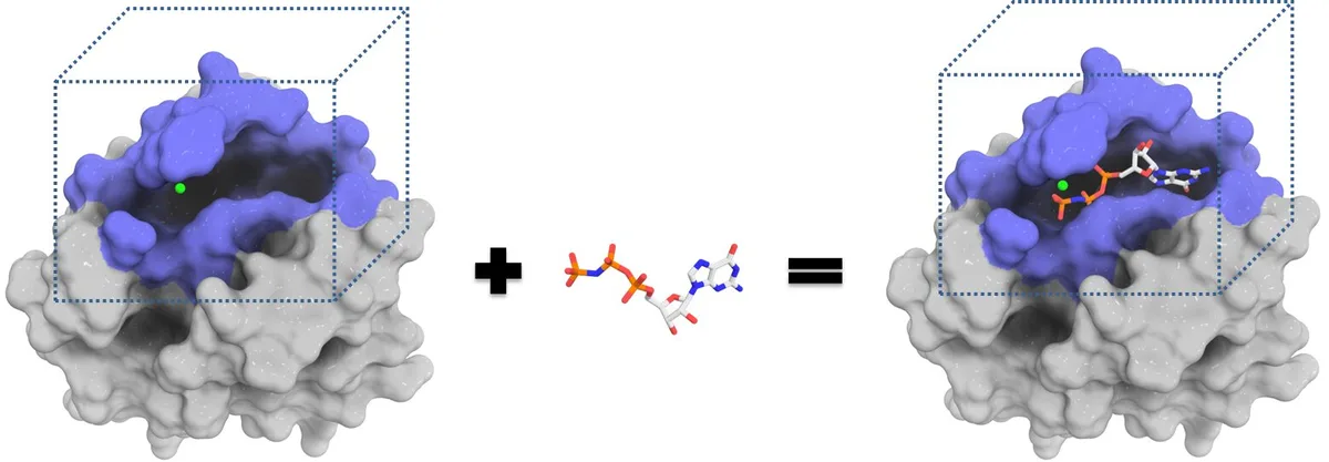 Ligand Pro unveils AI model, accelerates drug screening 30-fold