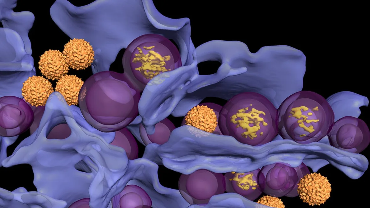 Umeå University reveals tick-borne virus cell transformation in Nature study