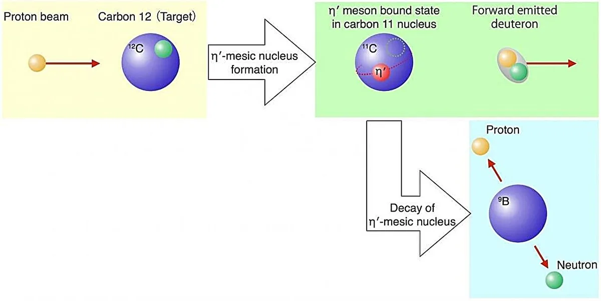 Scientists identify new mesic nuclei in mass origin study