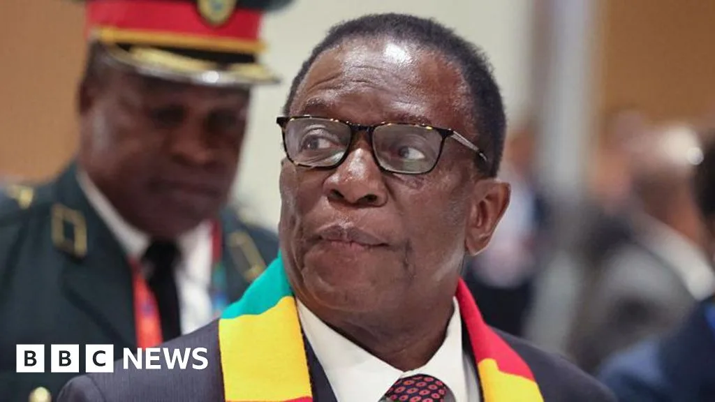 Zimbabwe's Ruling Party Proposes Ending Presidential Elections, Sparking Public Outcry