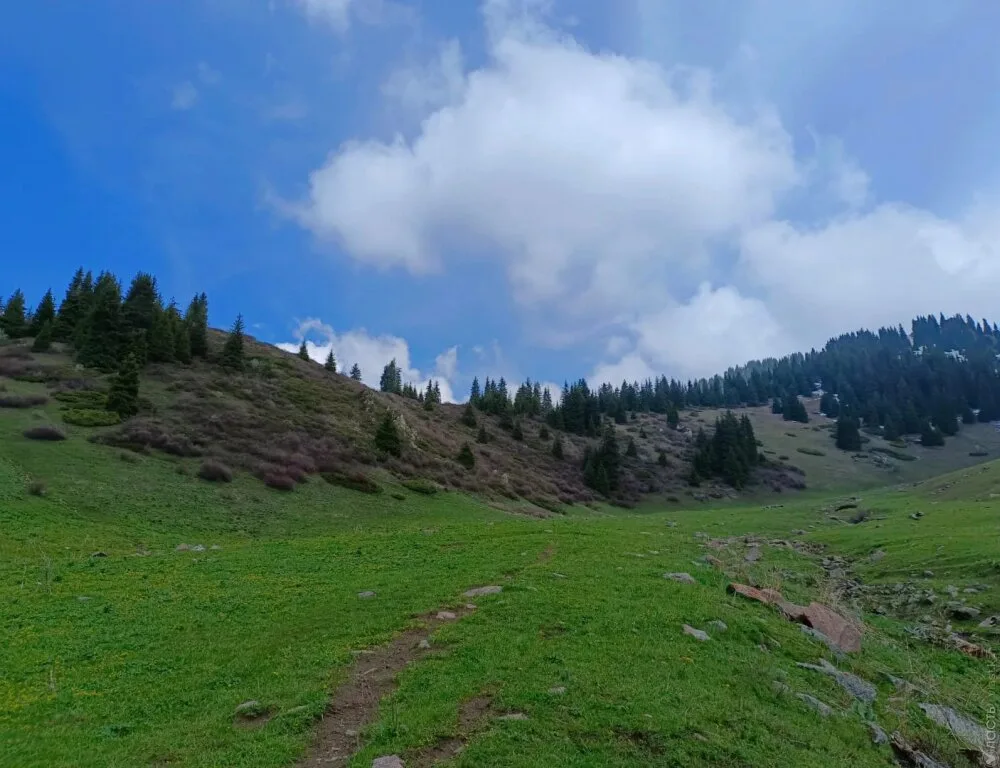 Almaty Prosecutors Reclaim 288 Hectares Near Medeu Park as Court Upholds Ruling