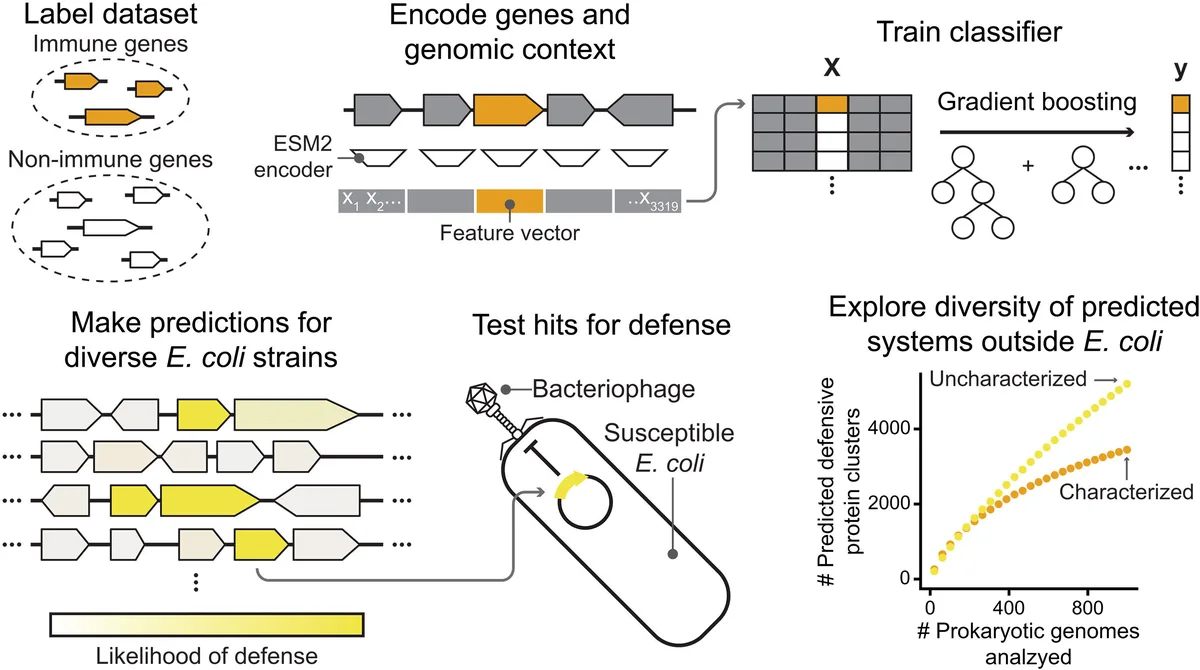 MIT discovers thousands of bacterial proteins using AI system