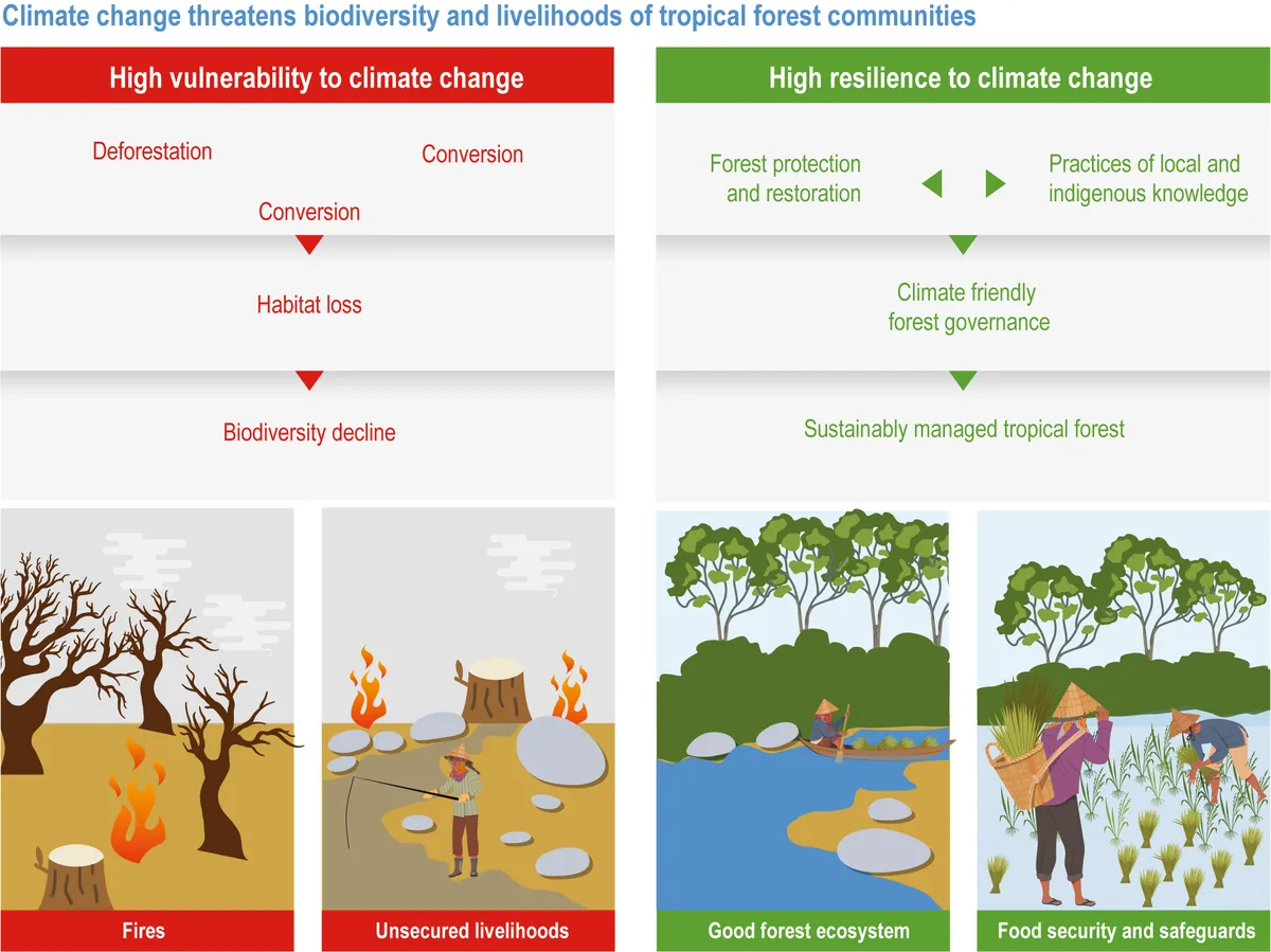 Nature assesses biodiversity resilience in tropical rainforest amid human disturbance