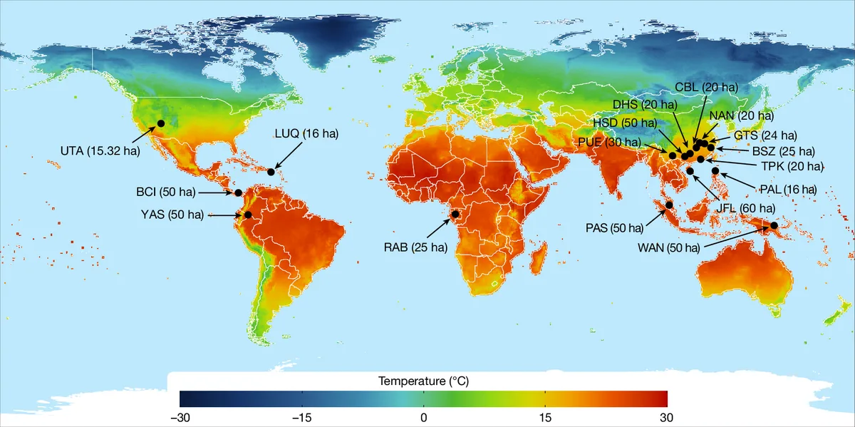 Nature study reveals equatorial tree facilitation amid global competition