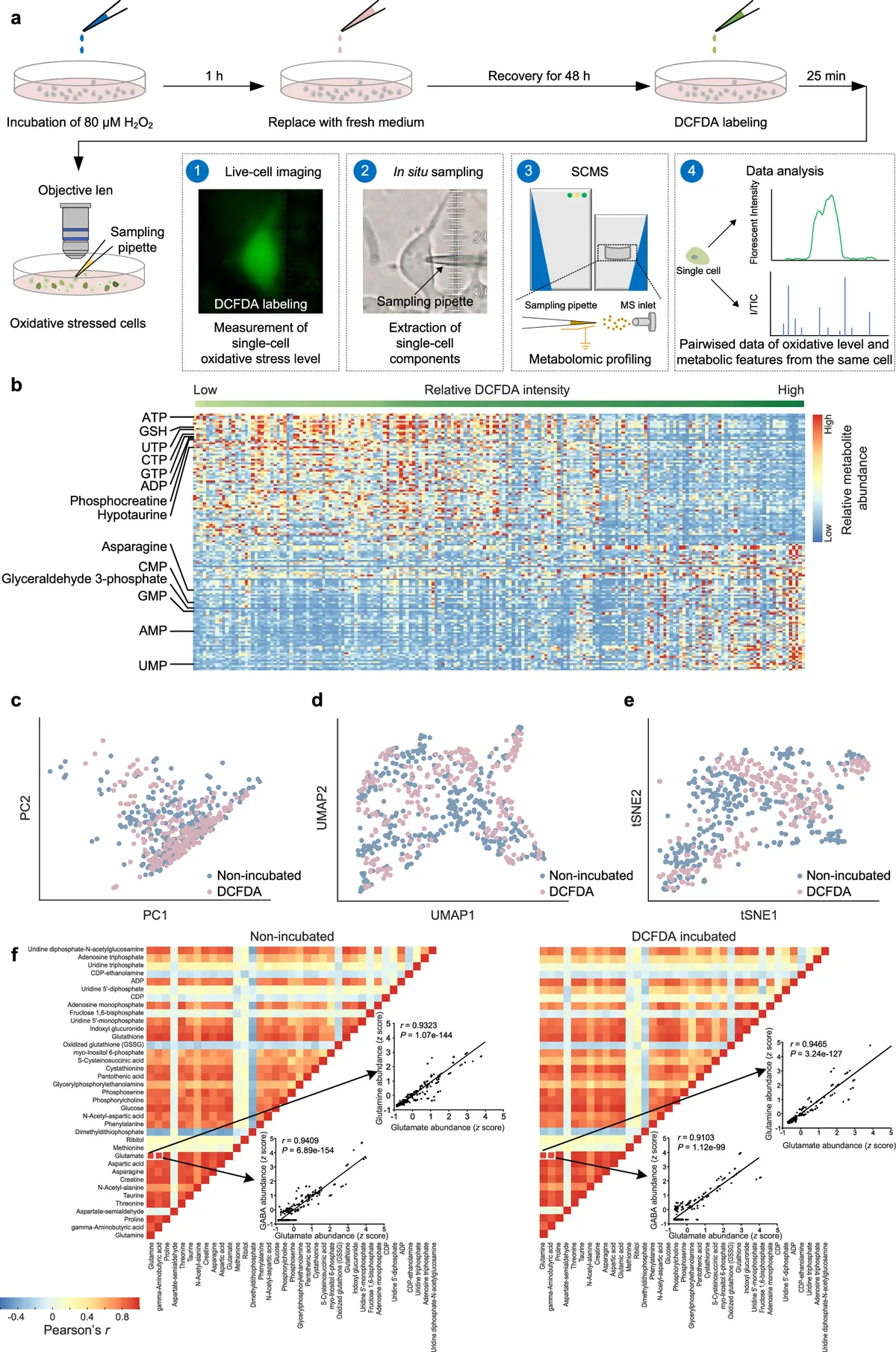 Nature reviews metabolomics potential amid scaling challenges
