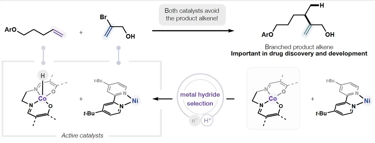 Scripps Research develops method to speed drug synthesis amid reagent scarcity