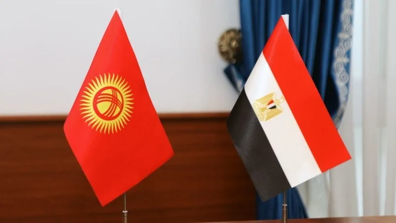 Kyrgyzstan ratifies visa waiver for diplomatic passport holders with Egypt