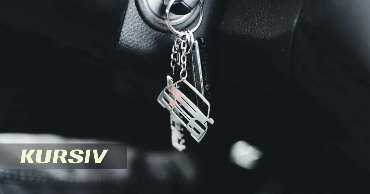 Jambyl Court Revokes Driver's License over Health Concerns