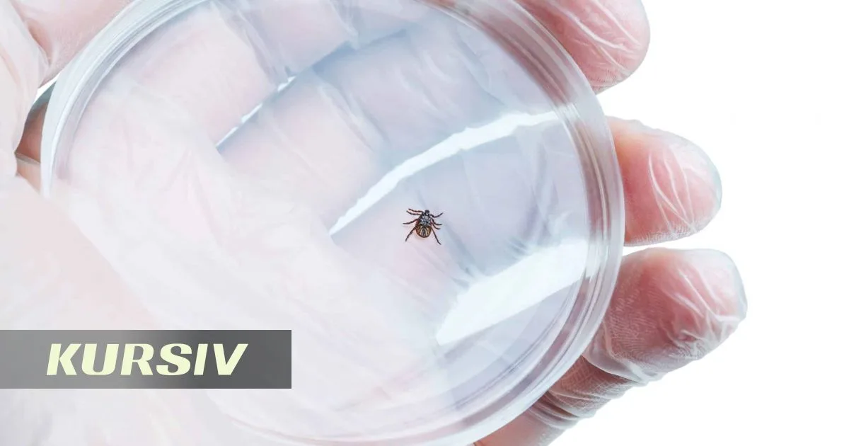 Kazakhstan reports 478 tick bite cases as encephalitis remains absent