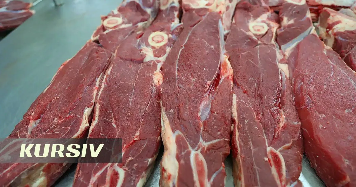 Astana Police Halt Truck with 6 Tons of Illegal Meat amid Safety Concerns