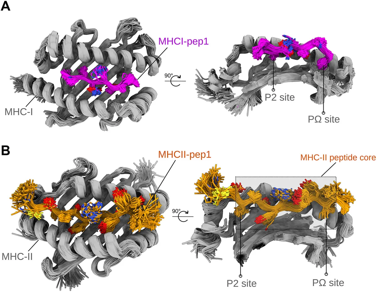 UTMB develops AI pipeline for alphavirus vaccines amid rising mosquito-borne threats