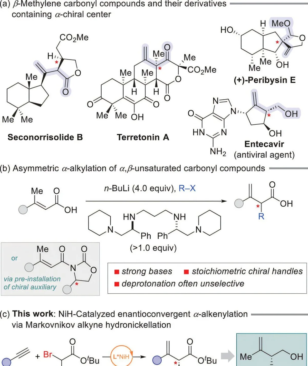 DGIST develops nickel catalyst for precise drug scaffold assembly