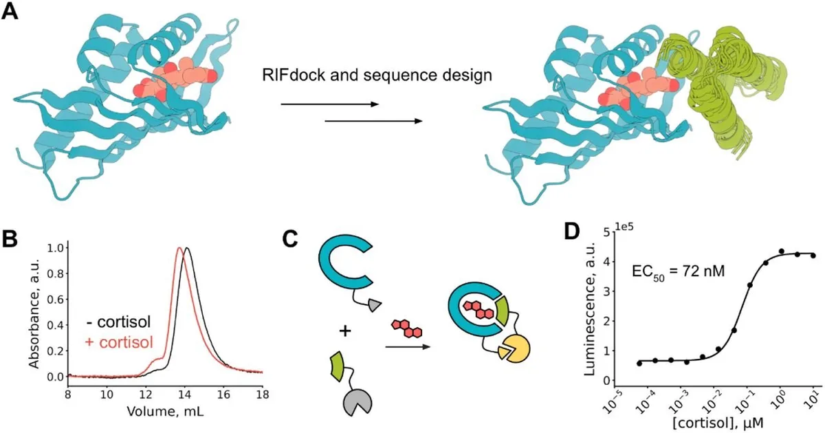AI Designs Proteins to Recognize Compounds, Published in Nature Communications