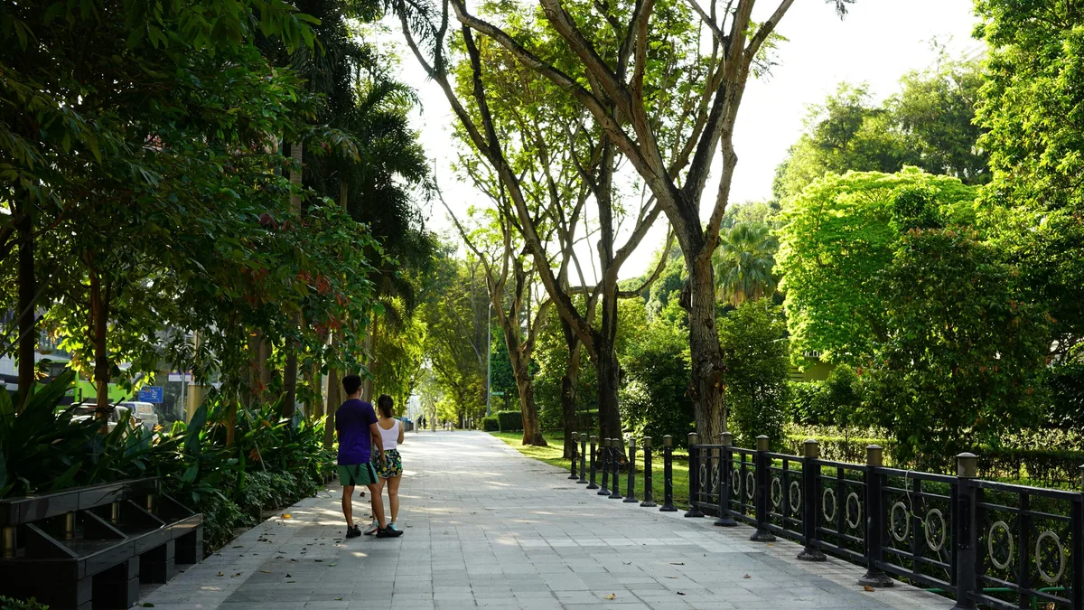 IIASA study finds street greenery insufficient amid rising urban heat