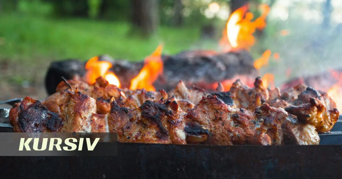 Kazakhstan's Emergency Ministry launches picnic fire raids amid rising fines