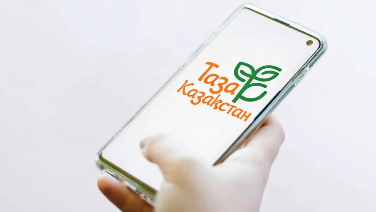 Казахстанцы подали десятки тысяч жалоб через чат-бот по благоустройству