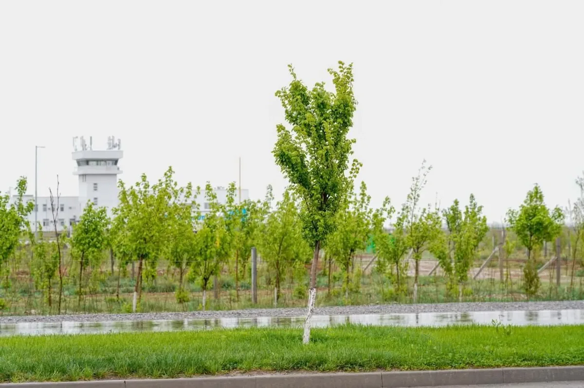 Возле Туркестана создадут большой экопарк - Kapital.kz