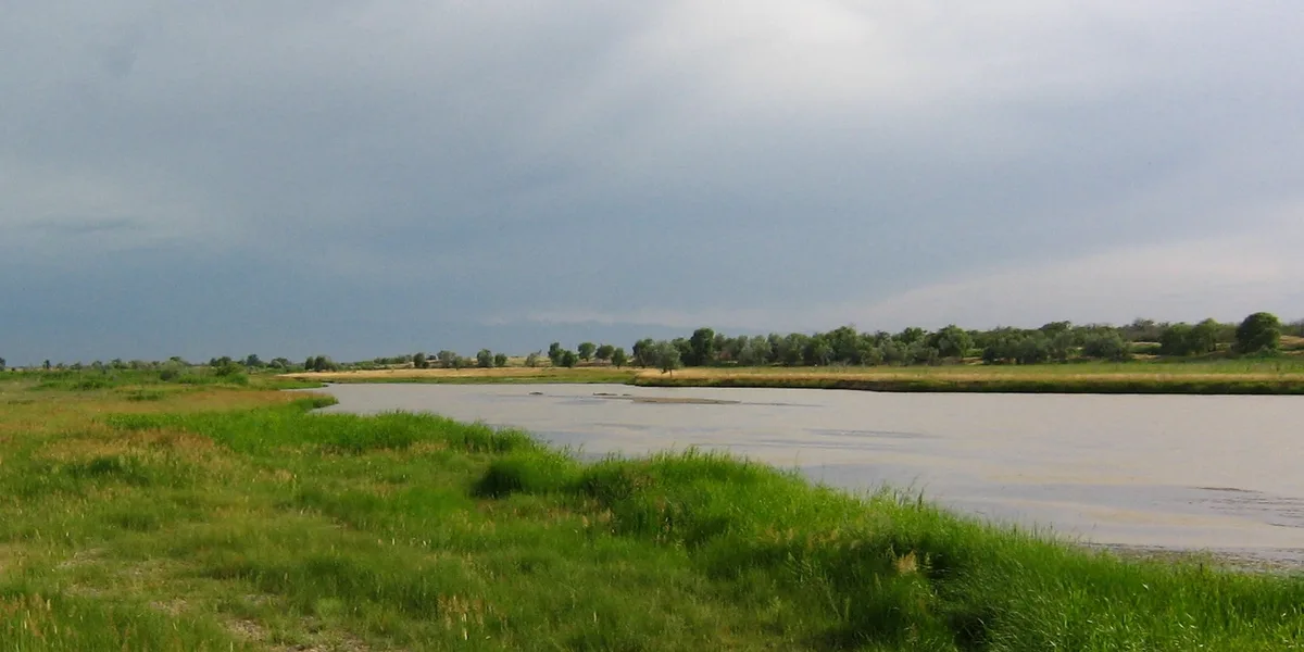 Жители Каскелена боятся застройки у реки и уничтожения родника с 70-летней историей