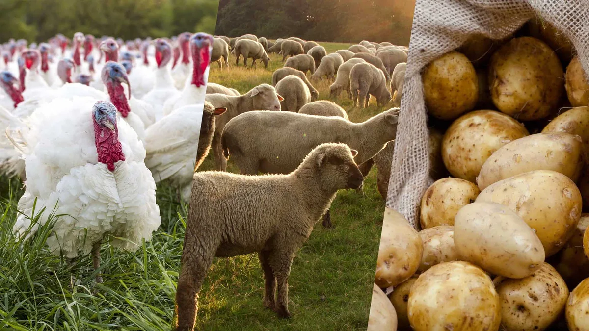 В Павлодарской области запустят проекты на 500 млрд тенге - lsm.kz