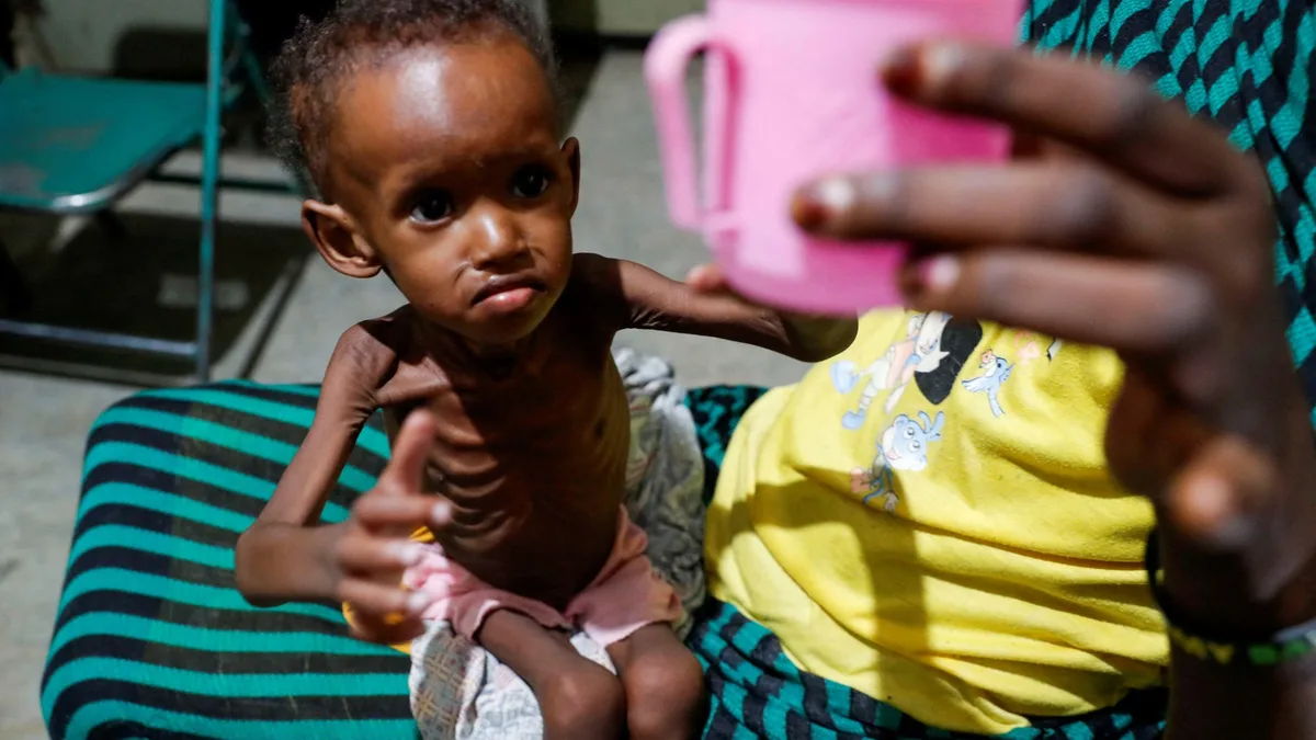 Millions in war-ravaged Sudan surviving on one meal a day, say NGOs
