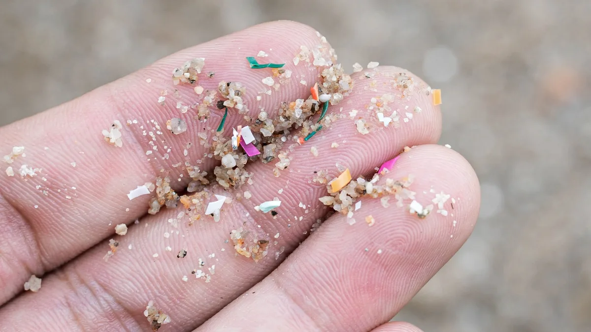 Эксперты считают, что план США по борьбе с микропластиком не защитит здоровье людей