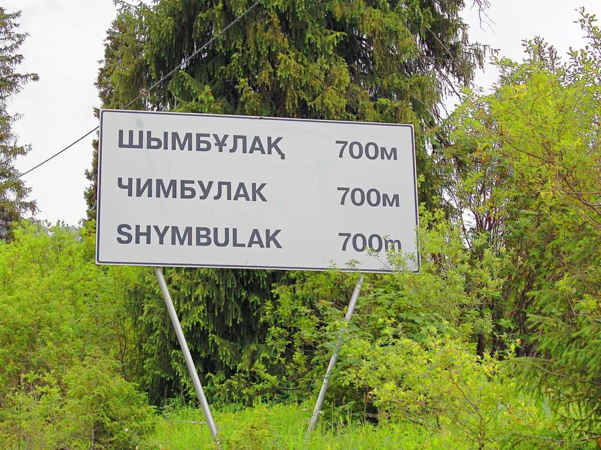 Как на барахолке: алматинцы возмутились множеством машин на дороге до Шымбулака