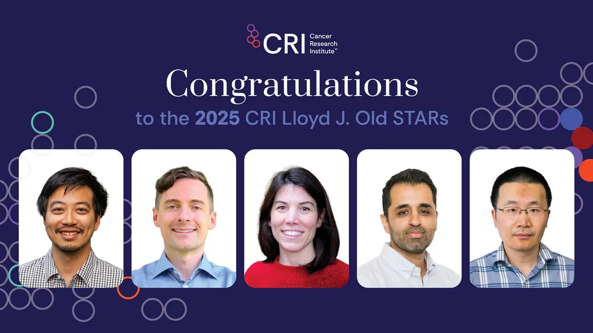 Four rising stars shaping the future of cancer research