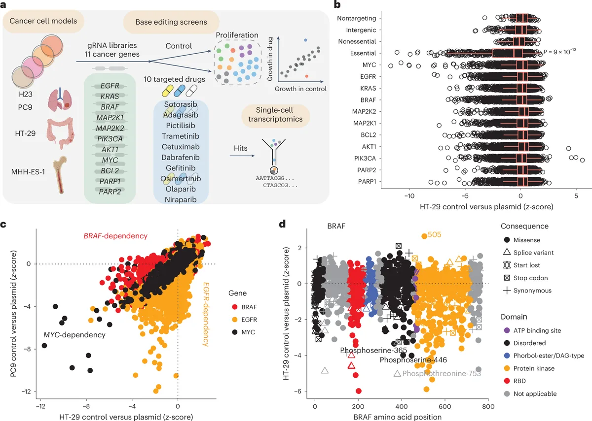 Molecular profiling of gene-edited cells reveals shared drug-resistance mechanisms
