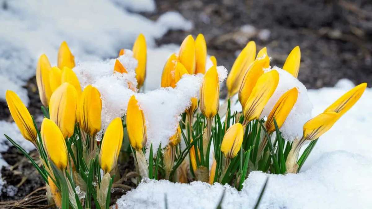 Алматинцев ждет снег после летней погоды