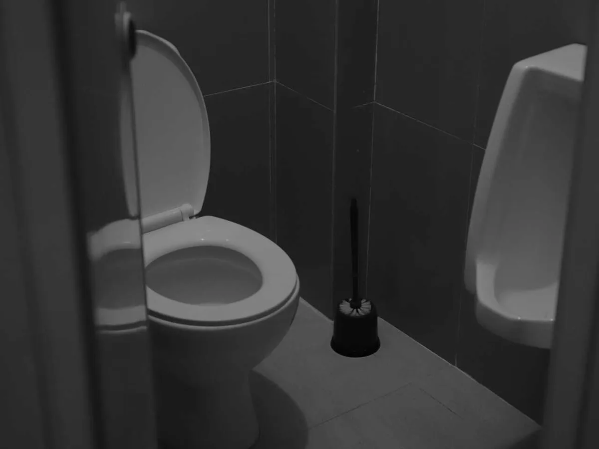 Рецидивист 5 лет прятался от полиции в тайнике туалета в Караганде