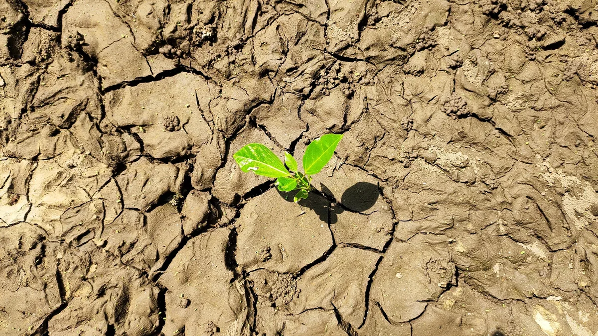 Лондон и Душанбе станут партнерами Казахстана по климату, воде и безопасности