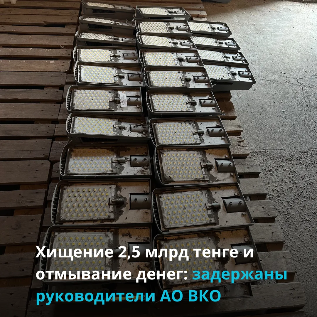 Задержан организатор схемы в деле о хищении на яблоневых садах в Шымкенте