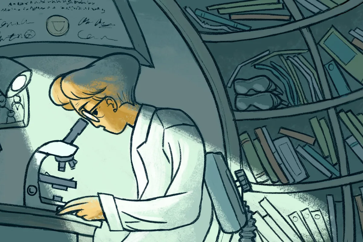 ‘Science needs defending’: record number of researchers run for office in US mid-terms