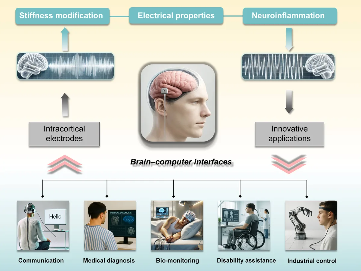 Brain–machine interface reveals the origin of a widely used neural signal