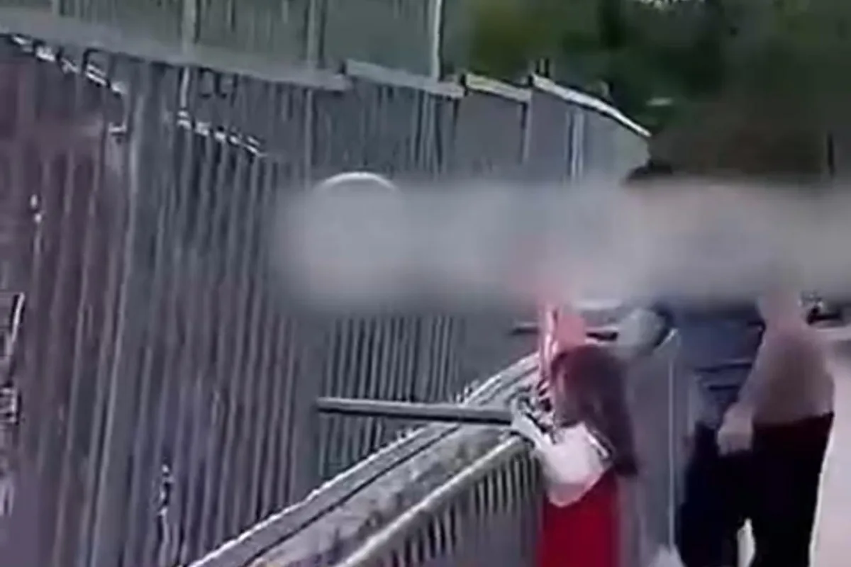 В Алматы нашли и наказали мужчину, бросавшего камни во льва в зоопарке