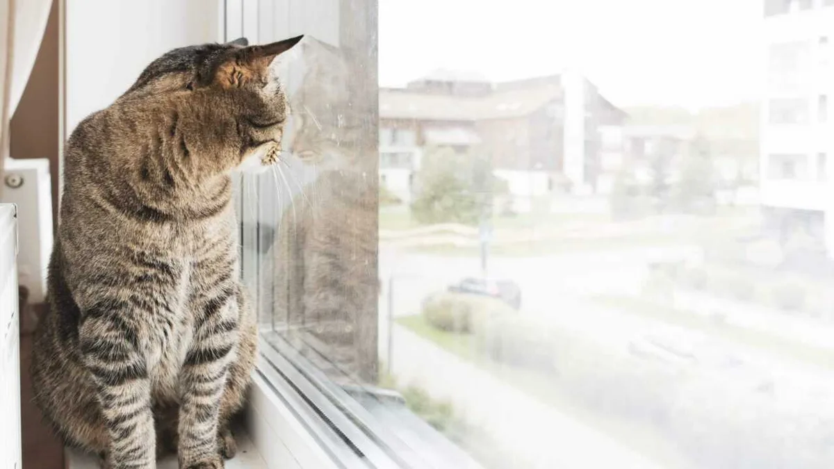 Погода в Казахстане резко меняется: от заморозков до +28 и пыльных бурь