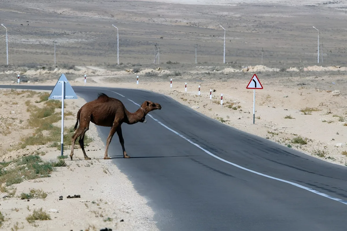 Kazakhstan’s water deficit threatens to scramble economic development agenda - Eurasianet