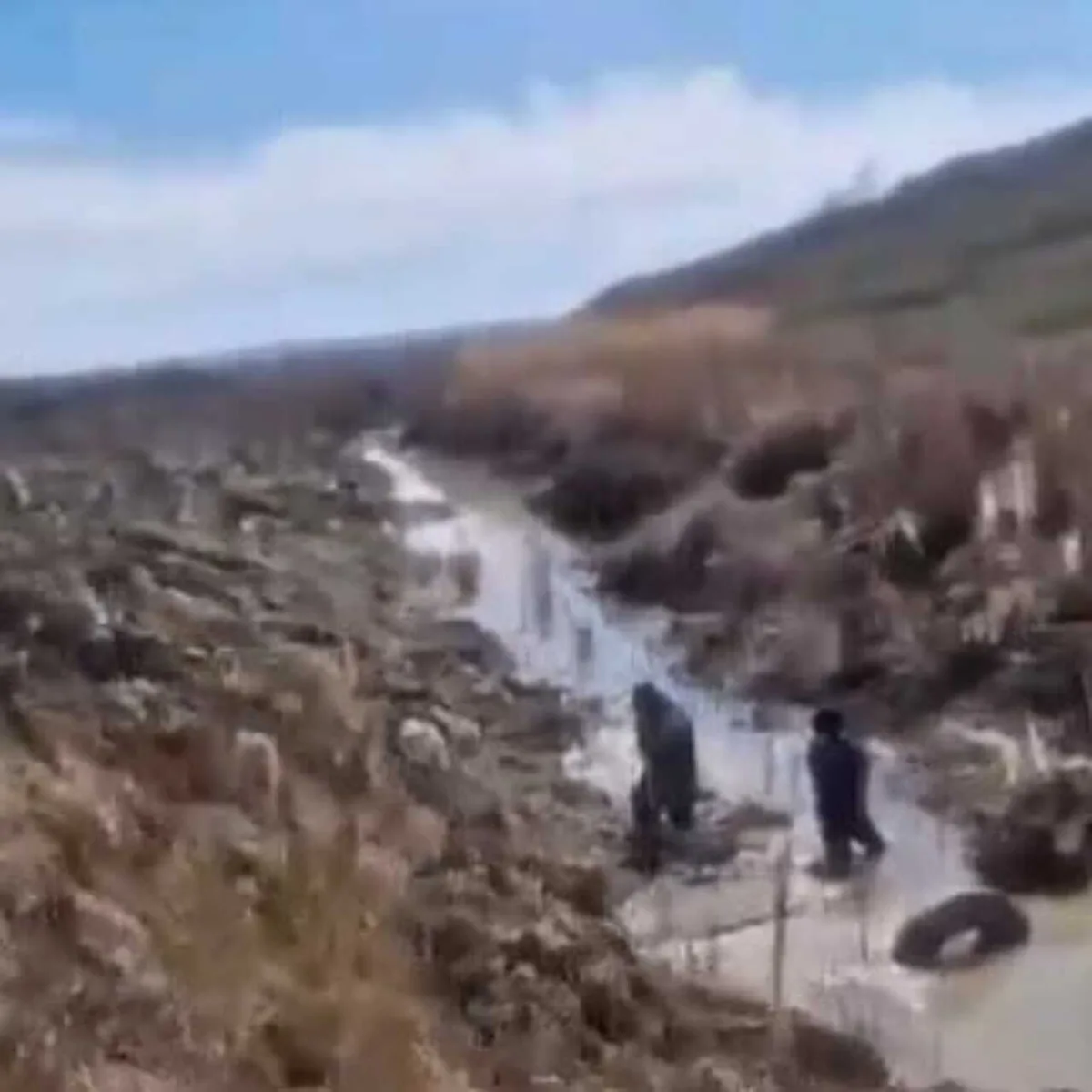 Двух девочек-подростков спасли из болота в Караганде