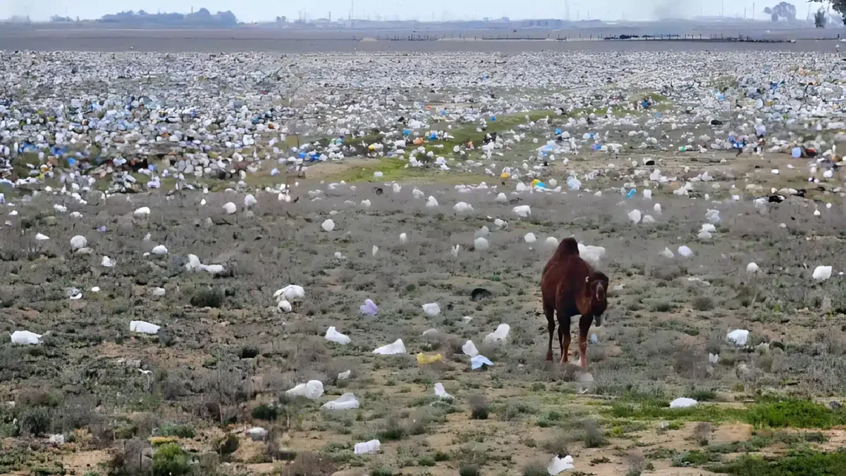 Степь в Мангыстау начали срочно очищать от мусора