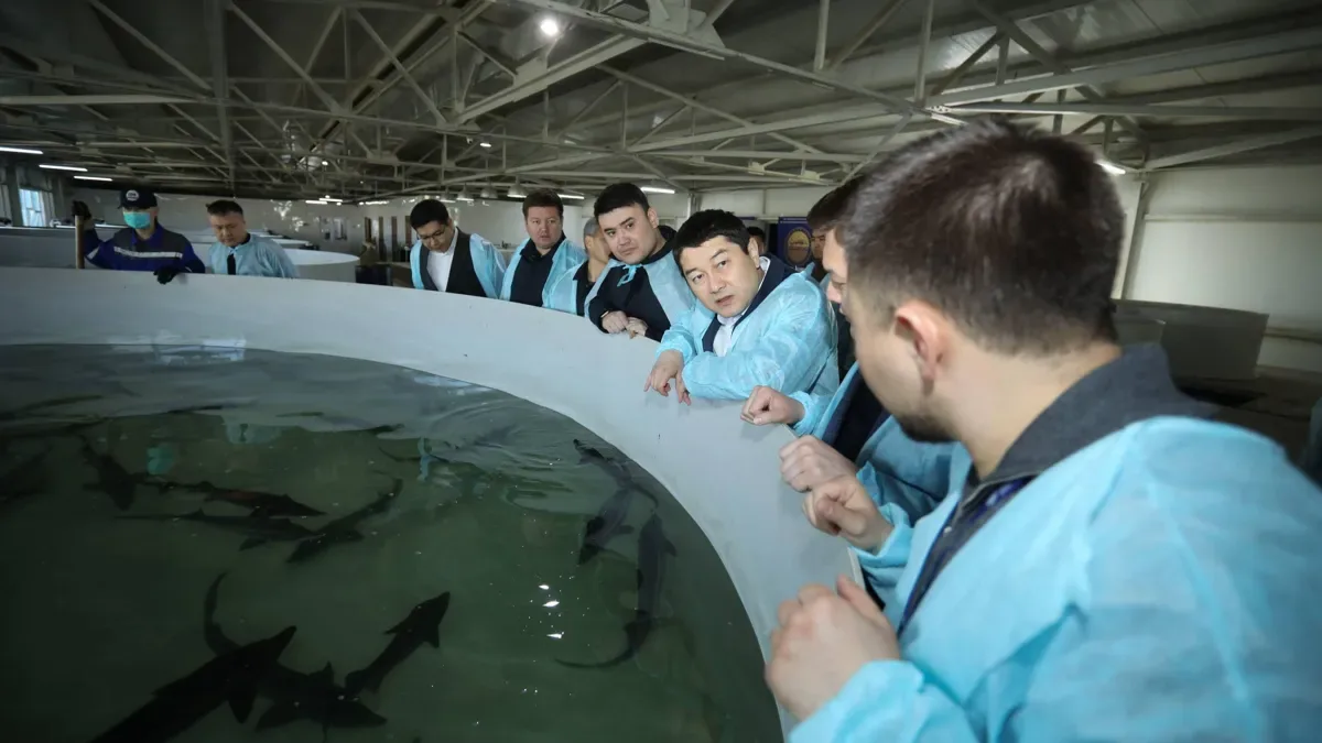 Алтынай Оспанова - Forbes.kz