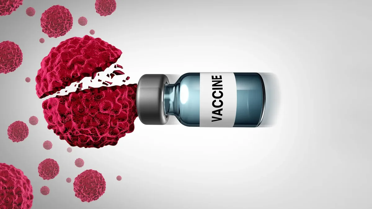 mRNA cancer vaccines recruit backup immune cells, study finds