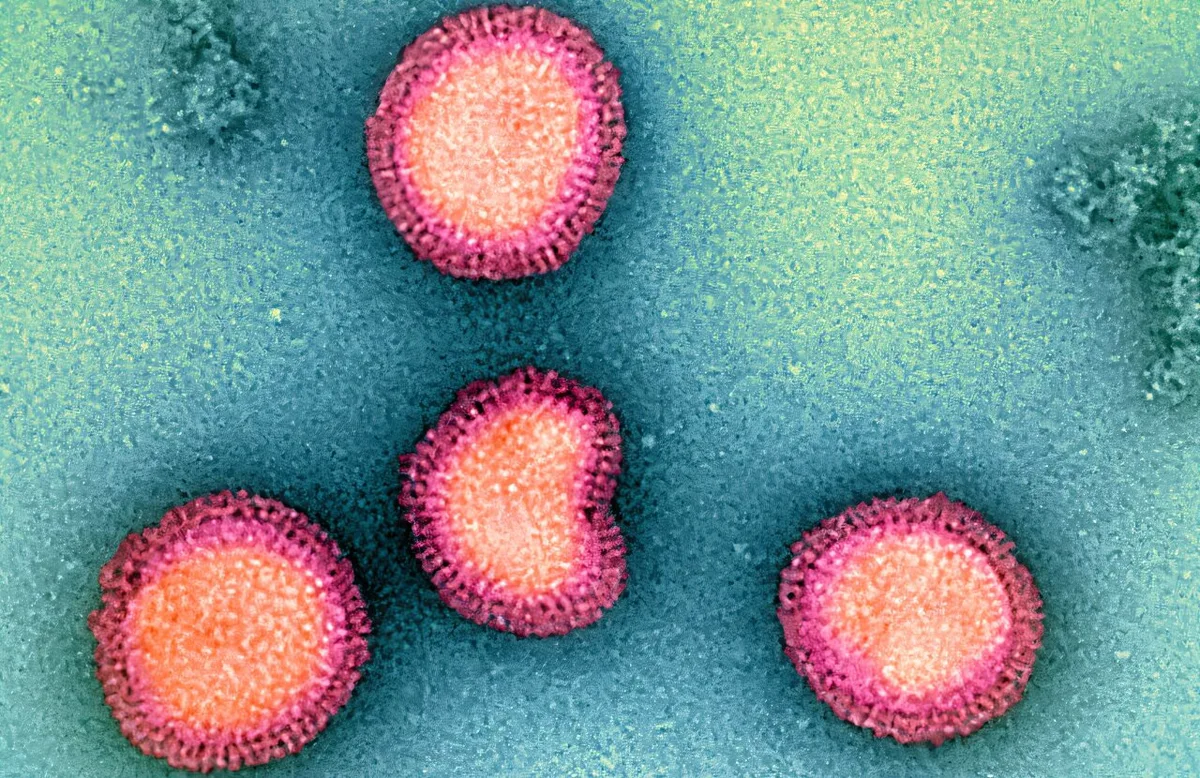 Largest viral-protein library opens new avenues for pathogen research