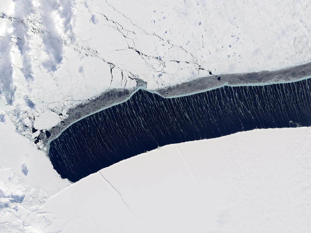 Antarctic bottom water loss accelerates, slowing global ocean currents