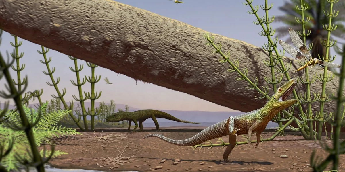 240-million-year-old reptile fossil found in Brazil sheds light on archosaur origins