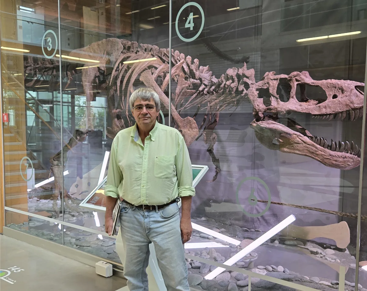 Dinosaur-killing asteroid identified as rare CO chondrite meteorite