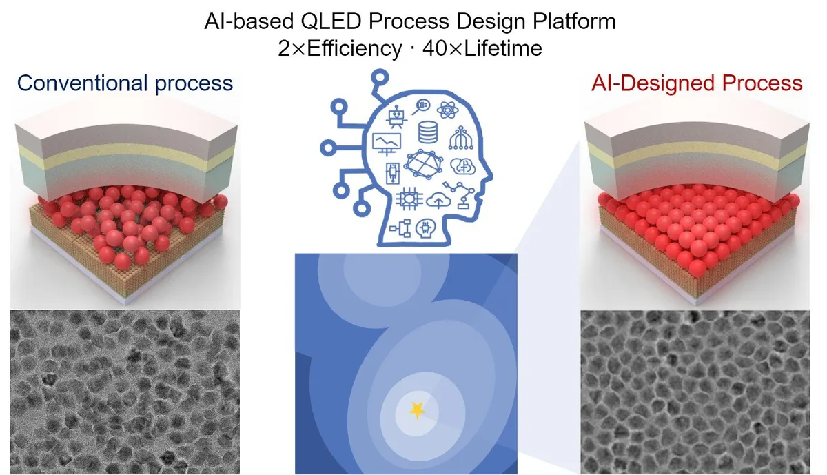 AI platform doubles QLED efficiency, extends lifetime 40-fold